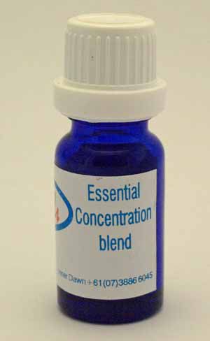 Concentration Essential Oil Blend 10ml